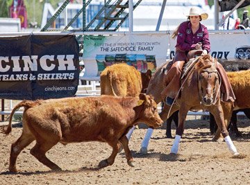 A rodeo participant in a maroon shirt and cowboy hat rides a horse while herding a cow in a dusty arena. There is a "Cinch Jeans & Shirts" banner in the background, and spectators can be seen behind the barriers, reminiscent of an old Durango gathering.