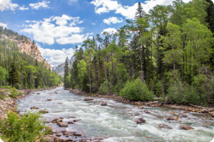 A scenic view of a river flowing through a forested mountain landscape. The river is surrounded by tall, lush green trees and rocky banks, with a clear blue sky and scattered clouds above.