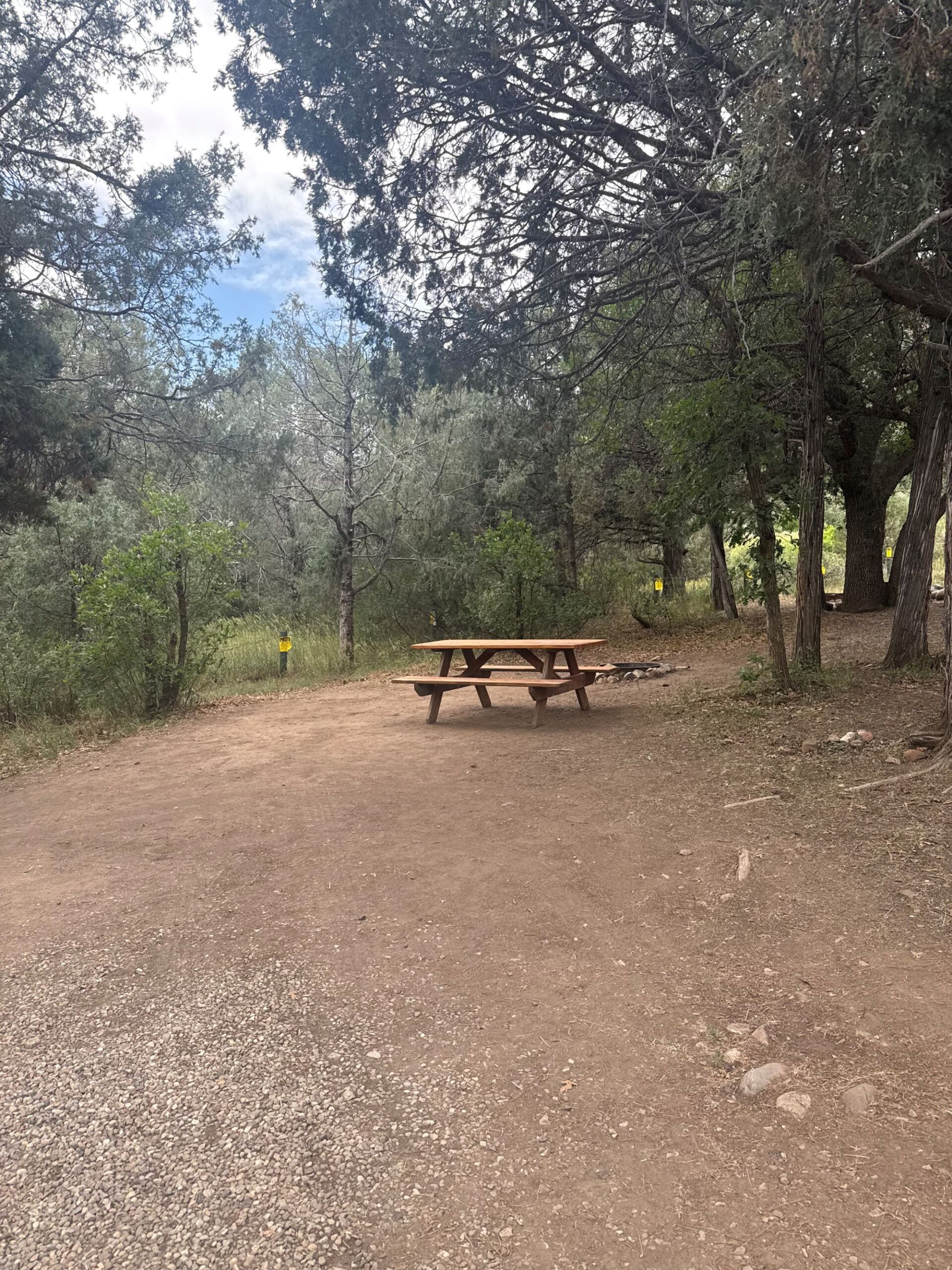 A wooden picnic table sits on a dirt clearing surrounded by trees and greenery under a partly cloudy sky.