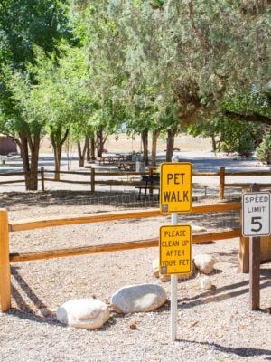A designated pet walk area