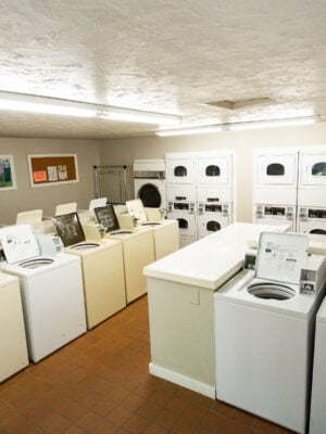 Laundry room with several white washing machines and dryers