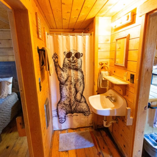 A small wooden cabin bathroom with a sink and a shower featuring a curtain printed with a bear wearing sunglasses; a bedroom is visible to the left.