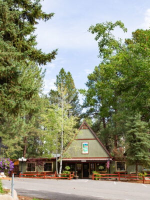 A-frame building surrounded by tall pine trees, with a small parking area and an American flag near the entrance.